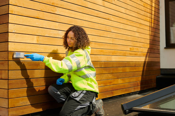 Best Siding Maintenance  in Brookdale, CA